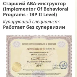 Диплом №1