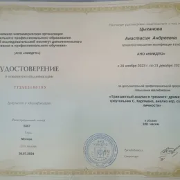 Диплом №1 психолога Анастасия Андреевна Цыганова из города Челябинск (Челябинская область)